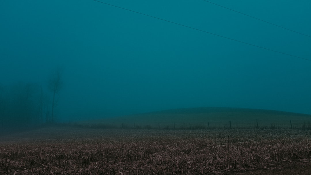 Imagem do campo profundo do Telescopio James Webb revelando galaxias distantes