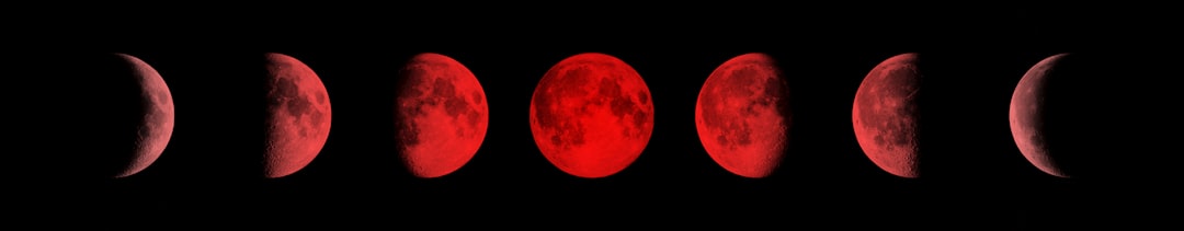 Ciclo completo das fases da lua mostrando as oito principais etapas