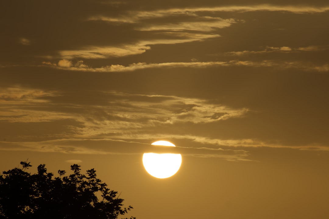 Trânsito de Vênus cruzando o disco solar telescópio