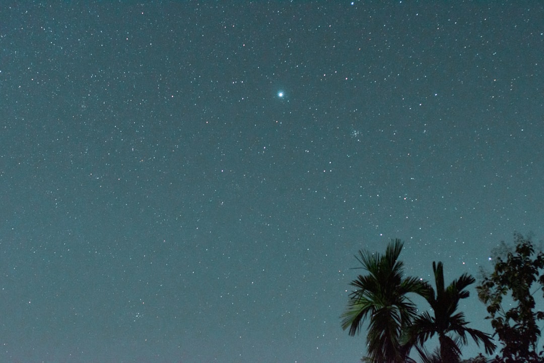 Vênus brilhando intensamente no céu noturno próximo ao horizonte