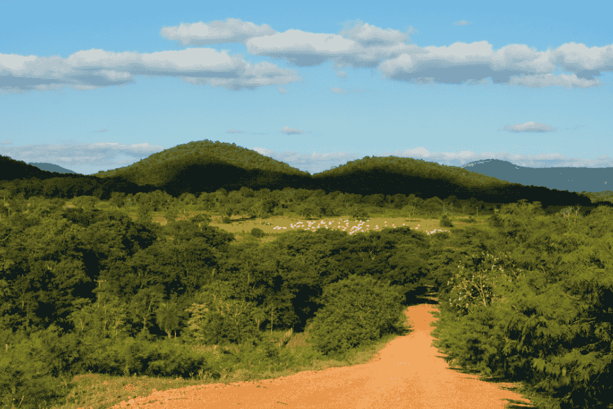 Estrada de terra vermelha cercada por vegetação nativa e colinas ao fundo na região de Bonito, Mato Grosso do Sul.