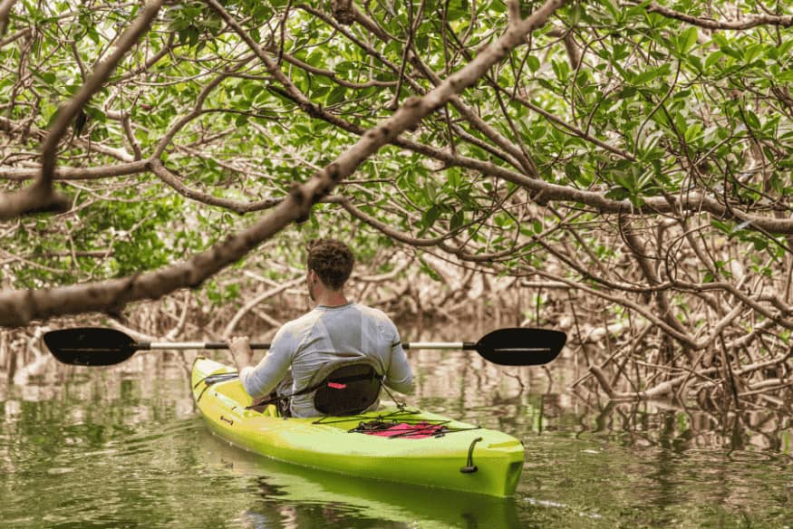 Caiaque individual passando por túnel natural em manguezal brasileiro