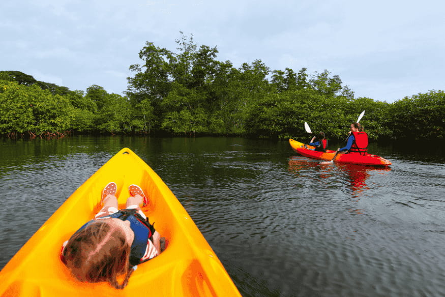 Criança em caiaque observando passeio por manguezal no Brasil