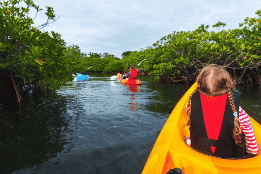 Criança em caiaque em trilha aquática por manguezal brasileiro