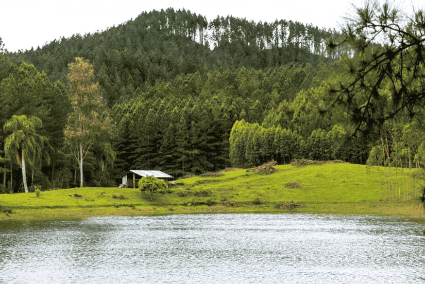 Lago rodeado por floresta e casa de madeira no interior do Vale Europeu, em Santa Catarina.
