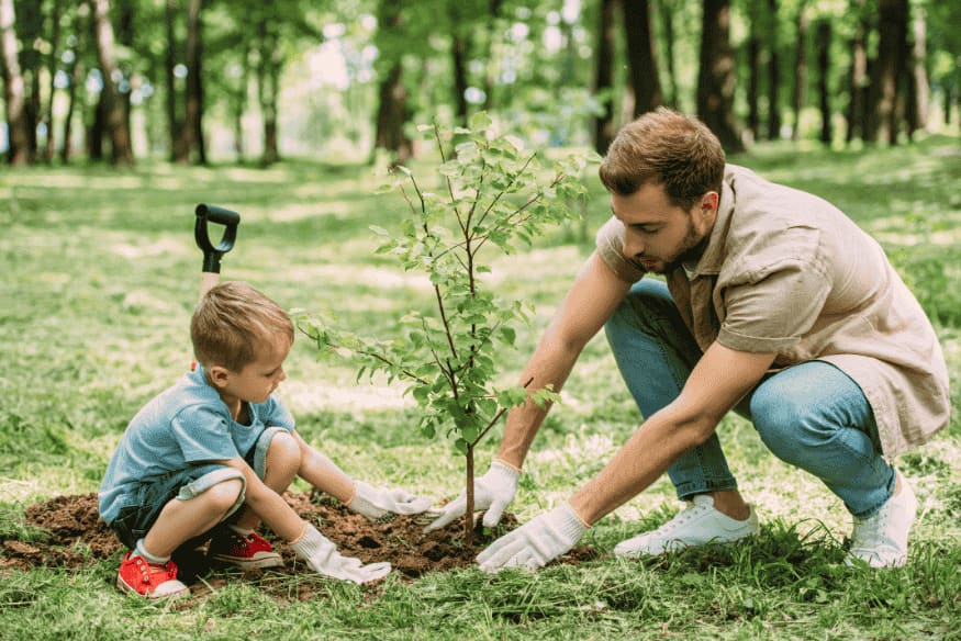 Pai e filho plantando muda de árvore em parque arborizado
