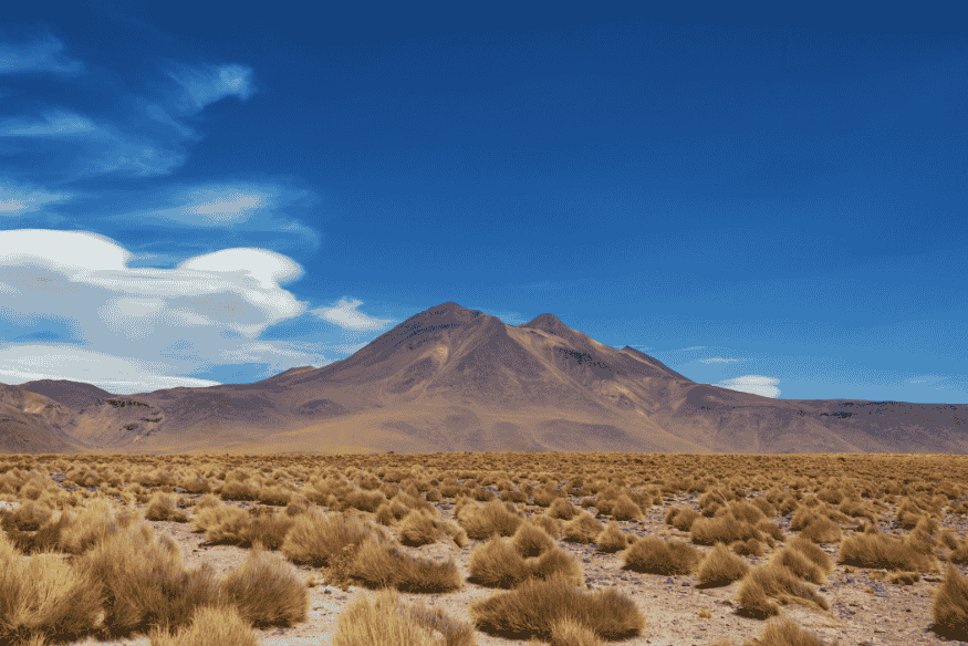 Paisagem árida com vegetação rasteira e montanhas ao fundo no Deserto do Atacama, Chile