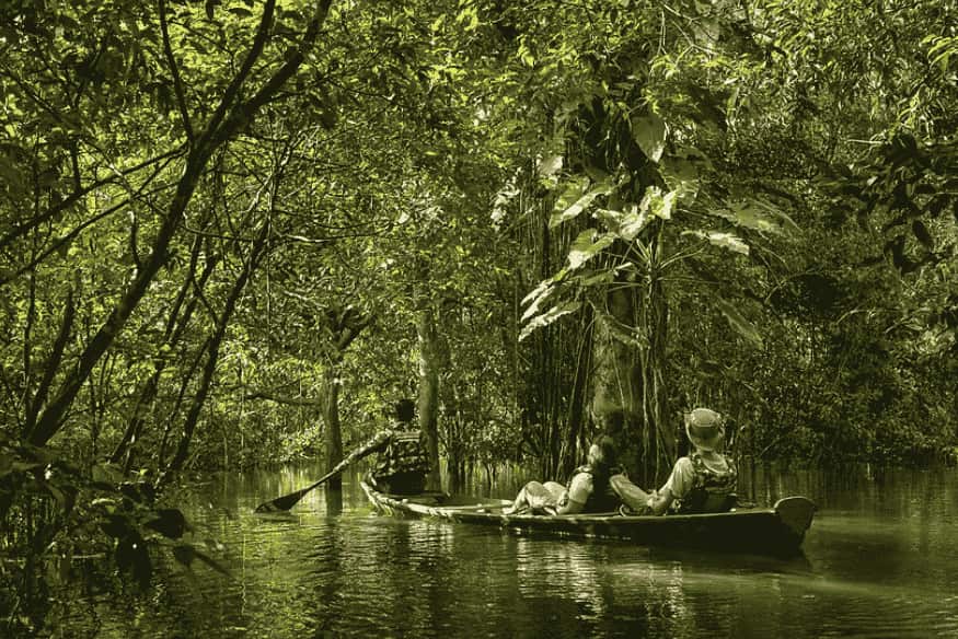 Turistas em passeio de canoa no meio da floresta alagada na Reserva Mamirauá, Amazonas