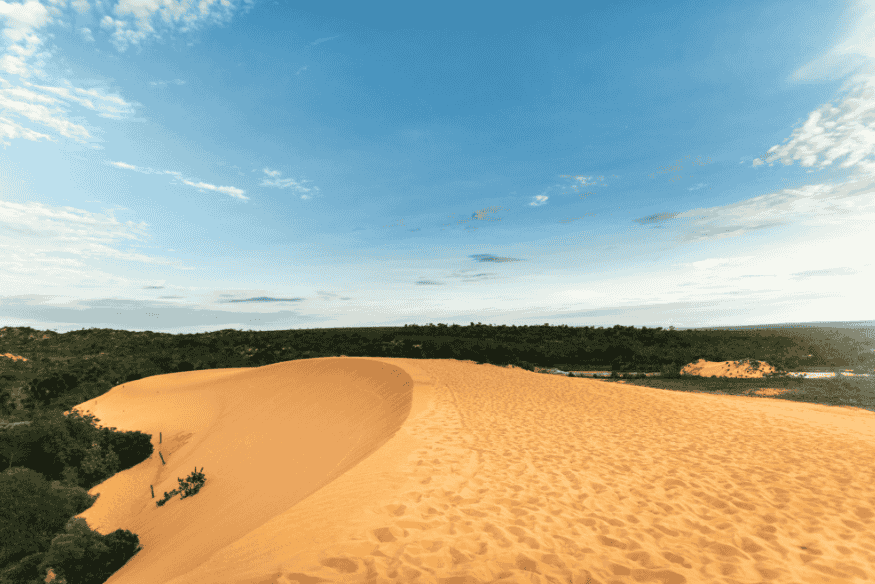 Dunas douradas do Jalapão ao entardecer, com céu azul claro e vegetação ao fundo