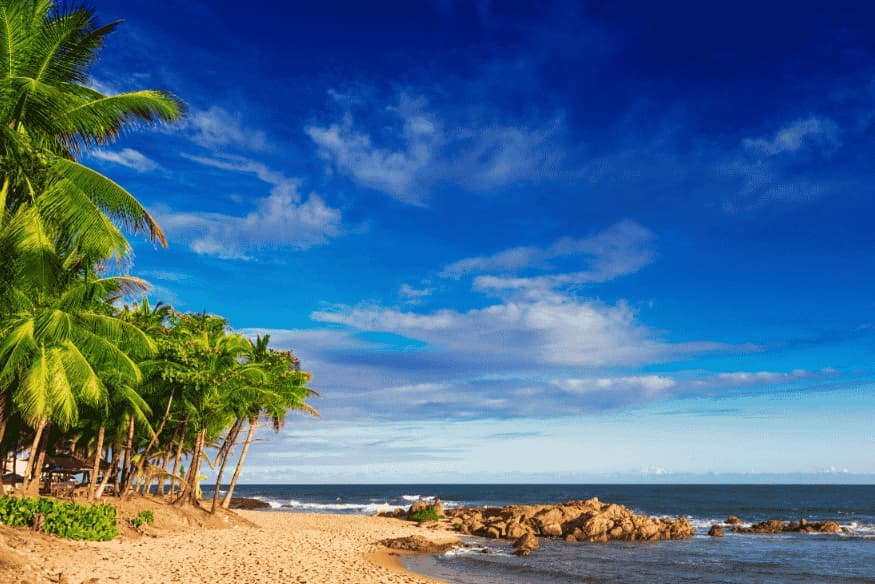 Praia com coqueiros e céu azul na Bahia, Brasil