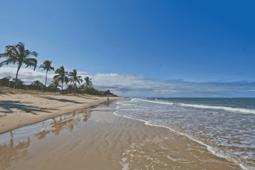Praia deserta com coqueiros e mar calmo em dia ensolarado na Bahia