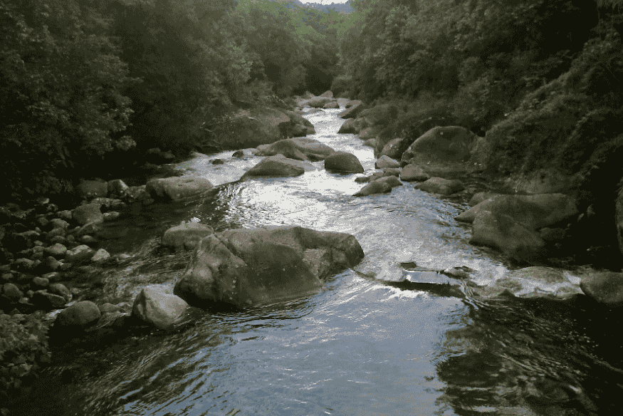 Rio com pedras e vegetação ao redor no Parque Nacional do Itatiaia.