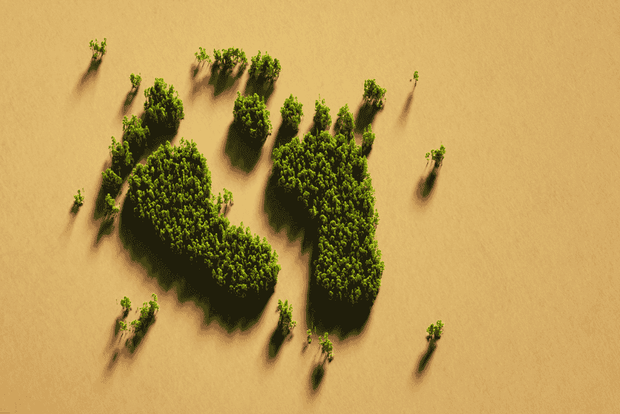 Pegada ecológica formada por árvores em formato de pés vista do alto