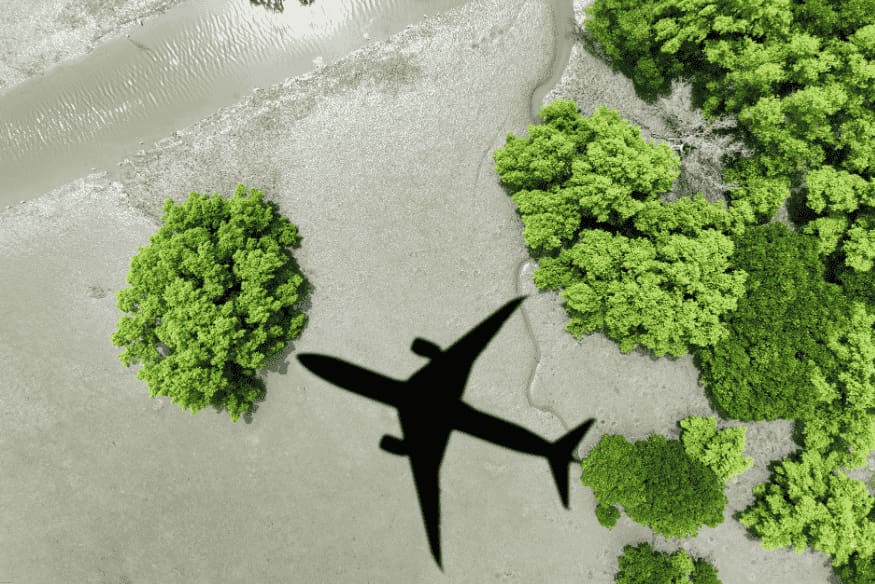 Sombra de avião sobre área verde com árvores