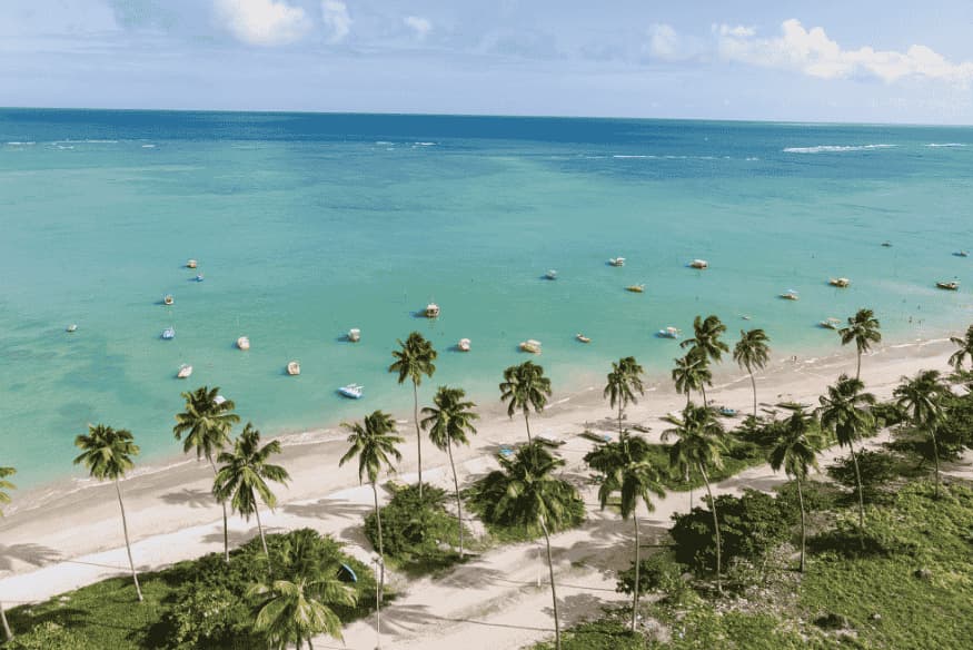 Vista aérea da praia de São Miguel dos Milagres com coqueiros e mar azul