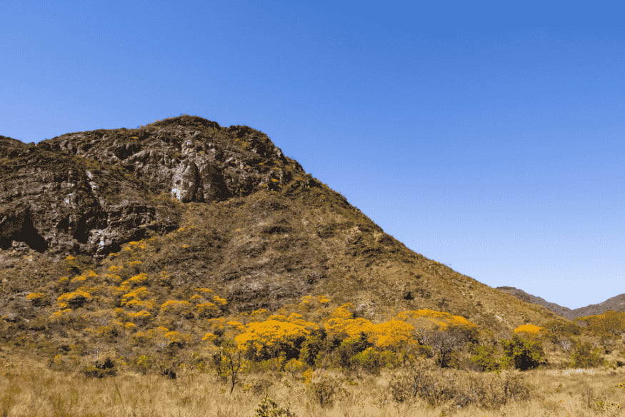 Montanhas secas com ipês amarelos floridos na Serra do Cipó
