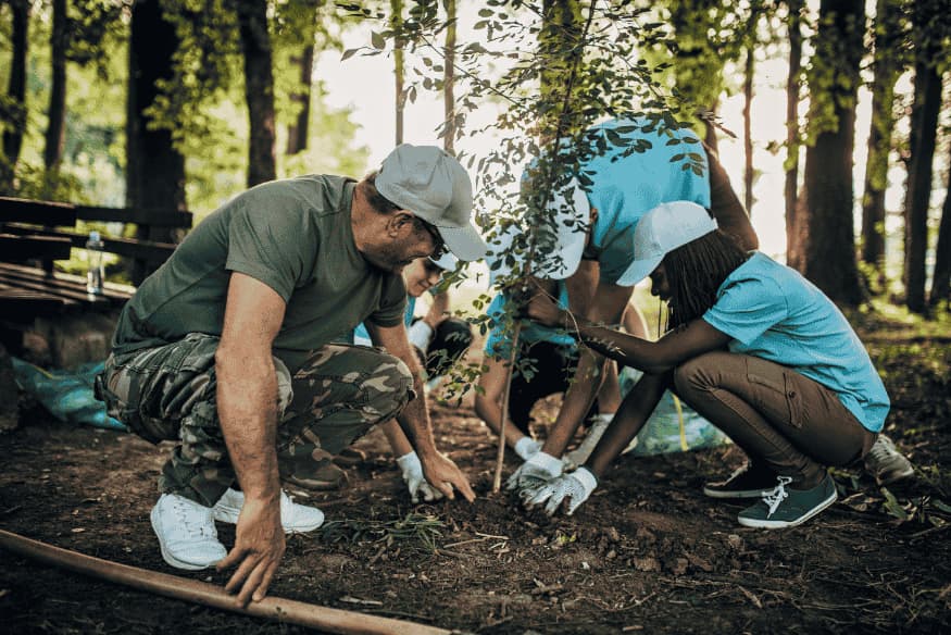 Grupo de voluntários plantando árvore em floresta como parte de ação ecológica.