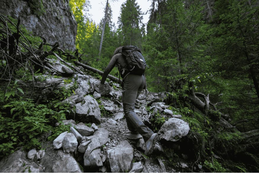 Viajante subindo trilha íngreme em floresta de araucárias nos cânions do Sul do Brasil, caminho de acesso ao Cânion Itaimbezinho.