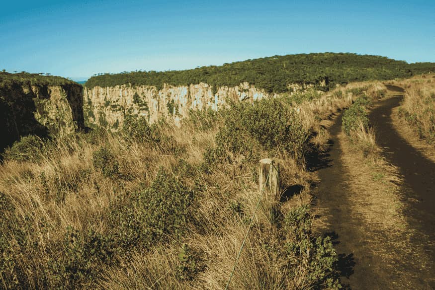 Estrada de chão e trilha na borda dos cânions do Sul do Brasil, com vegetação de campos de altitude no caminho para Itaimbezinho e Fortaleza.