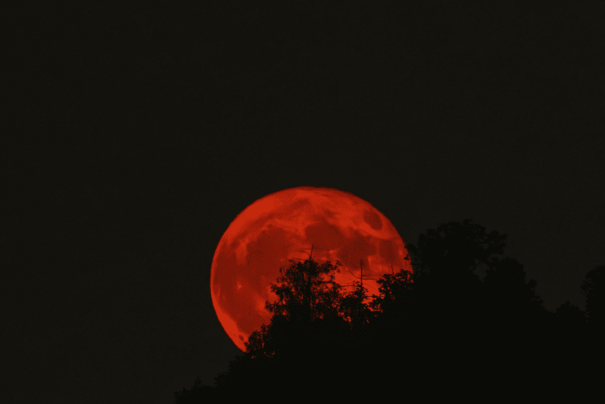 Lua vermelha durante eclipse lunar total surgindo atrás de árvores em silhueta no céu noturno.