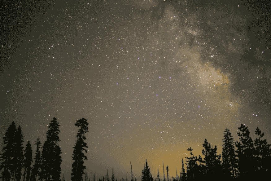 Céu estrelado com muitas estrelas acima de árvores, exemplo de céu escuro ideal para observação astronômica em viagens.